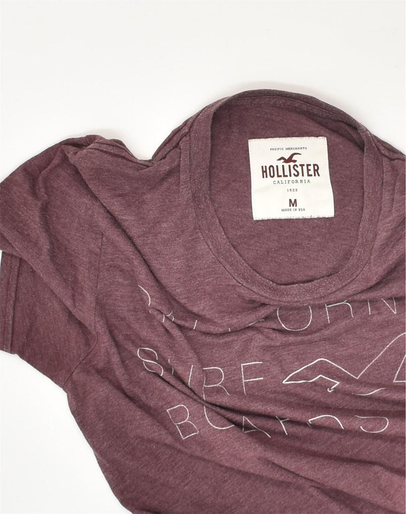 HOLLISTER Mens Graphic T-Shirt Top Medium Maroon Polyester | Vintage Hollister | Thrift | Second-Hand Hollister | Used Clothing | Messina Hembry 