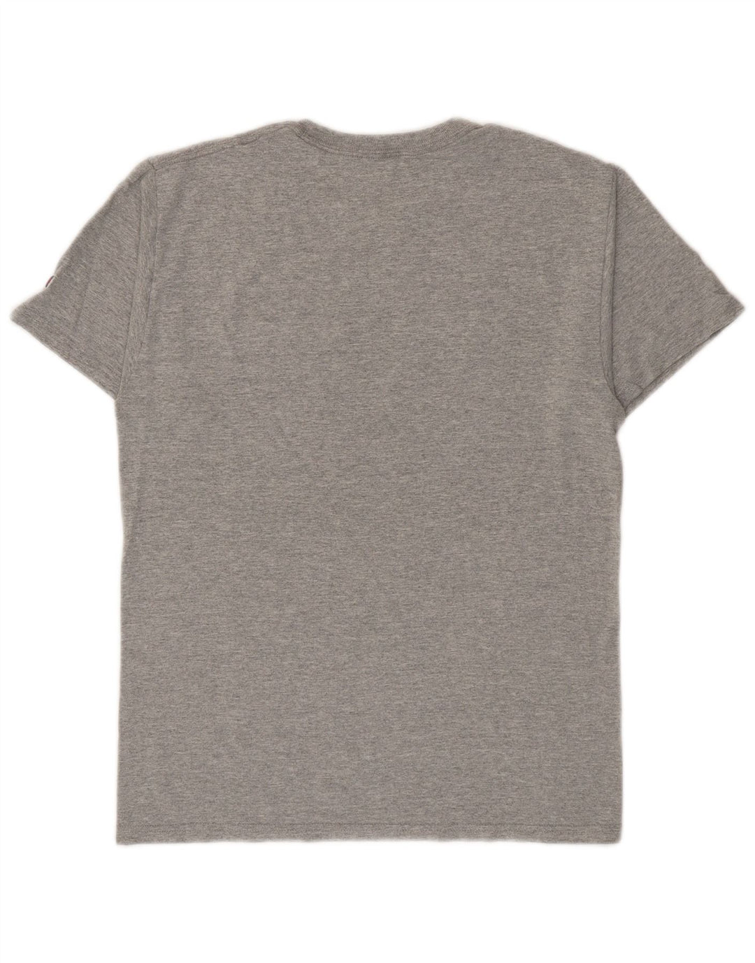 Champion Mens Graphic T-Shirt Top Small Grey Cotton