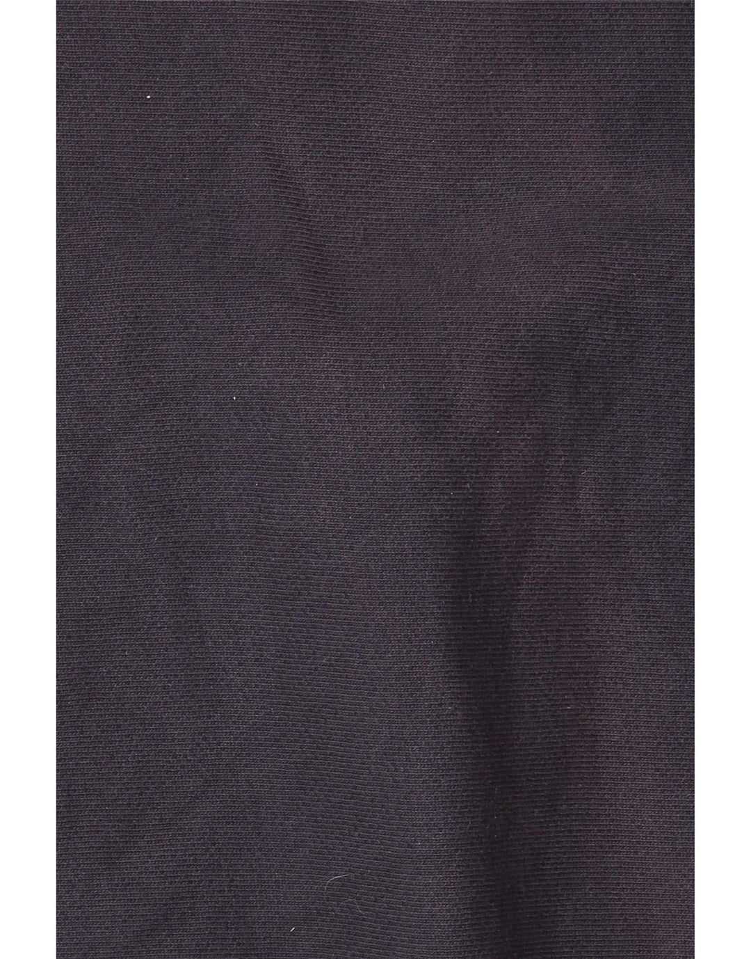 Champion Mens Hoodie Jumper Large Navy Blue Cotton