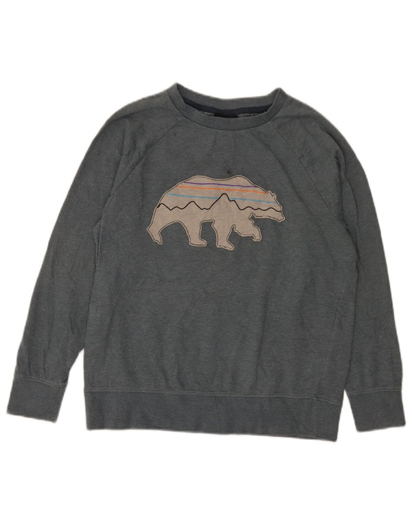 Patagonia Boys Graphic Hoodie Jumper 12-13 Years Large Grey Cotton