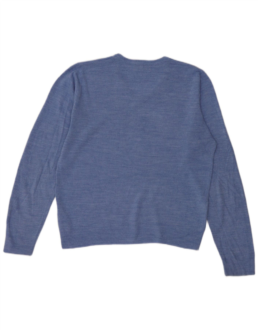 Marks & Spencer Mens Regular Fit V-Neck Jumper Sweater Medium Blue Acrylic