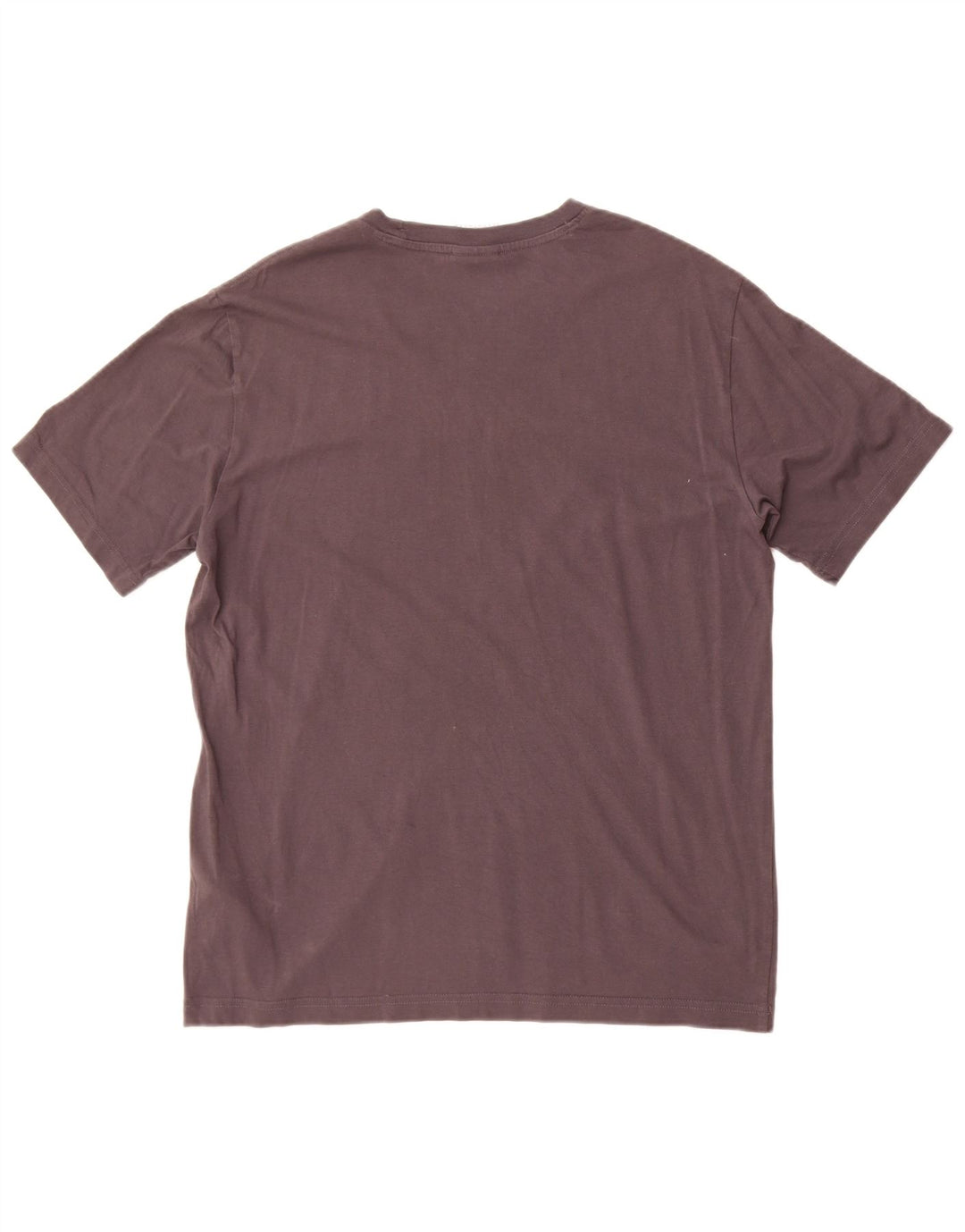 Champion Mens Graphic T-Shirt Top Small Grey Cotton