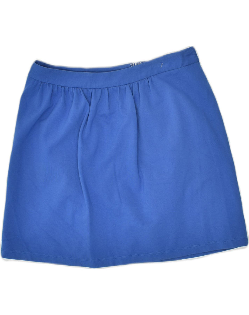 J. CREW Womens Mini Skirt US 4 Small W28  Blue Viscose | Vintage J. Crew | Thrift | Second-Hand J. Crew | Used Clothing | Messina Hembry 