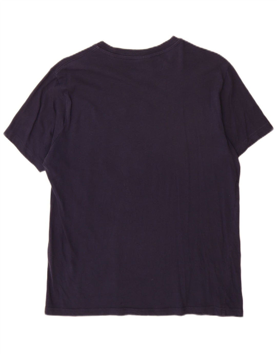 Champion Mens Graphic T-Shirt Top Medium Navy Blue