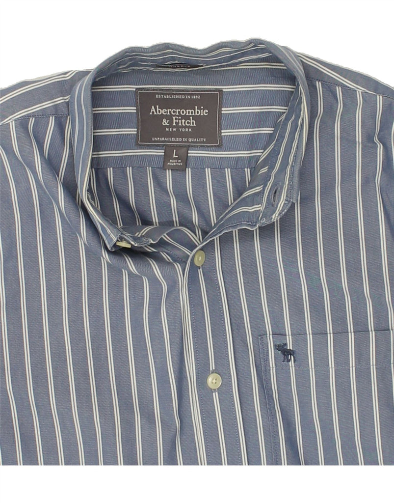 ABERCROMBIE & FITCH Mens Shirt Large Blue Striped Cotton | Vintage Abercrombie & Fitch | Thrift | Second-Hand Abercrombie & Fitch | Used Clothing | Messina Hembry 