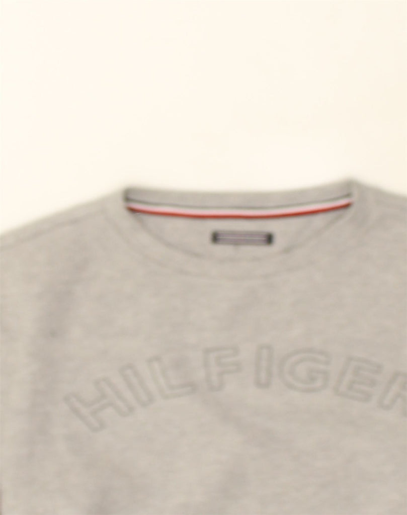 TOMMY HILFIGER Mens Graphic Sweatshirt Jumper Medium Grey Cotton | Vintage Tommy Hilfiger | Thrift | Second-Hand Tommy Hilfiger | Used Clothing | Messina Hembry 