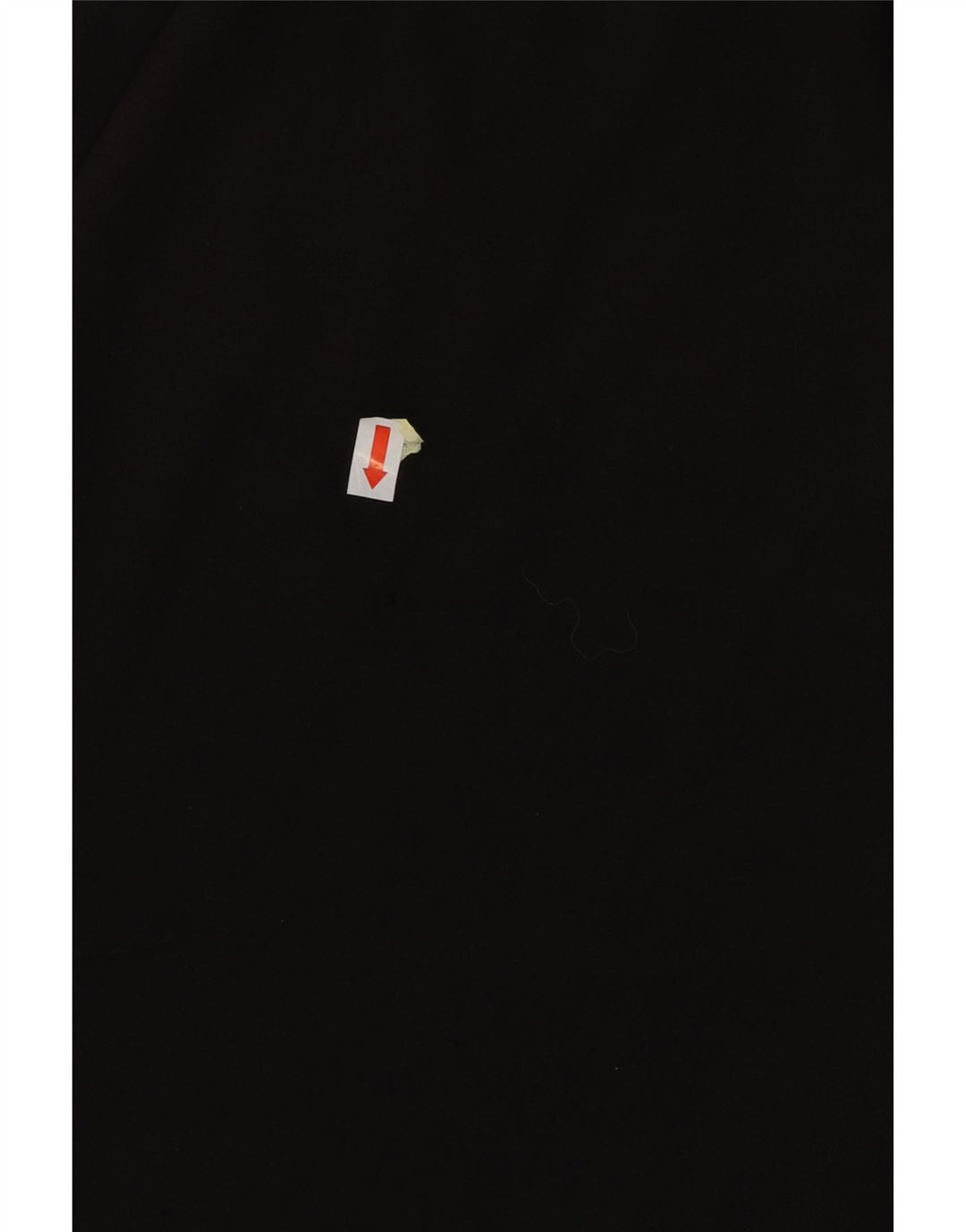 PUMA Mens Sport Shorts Large  Black