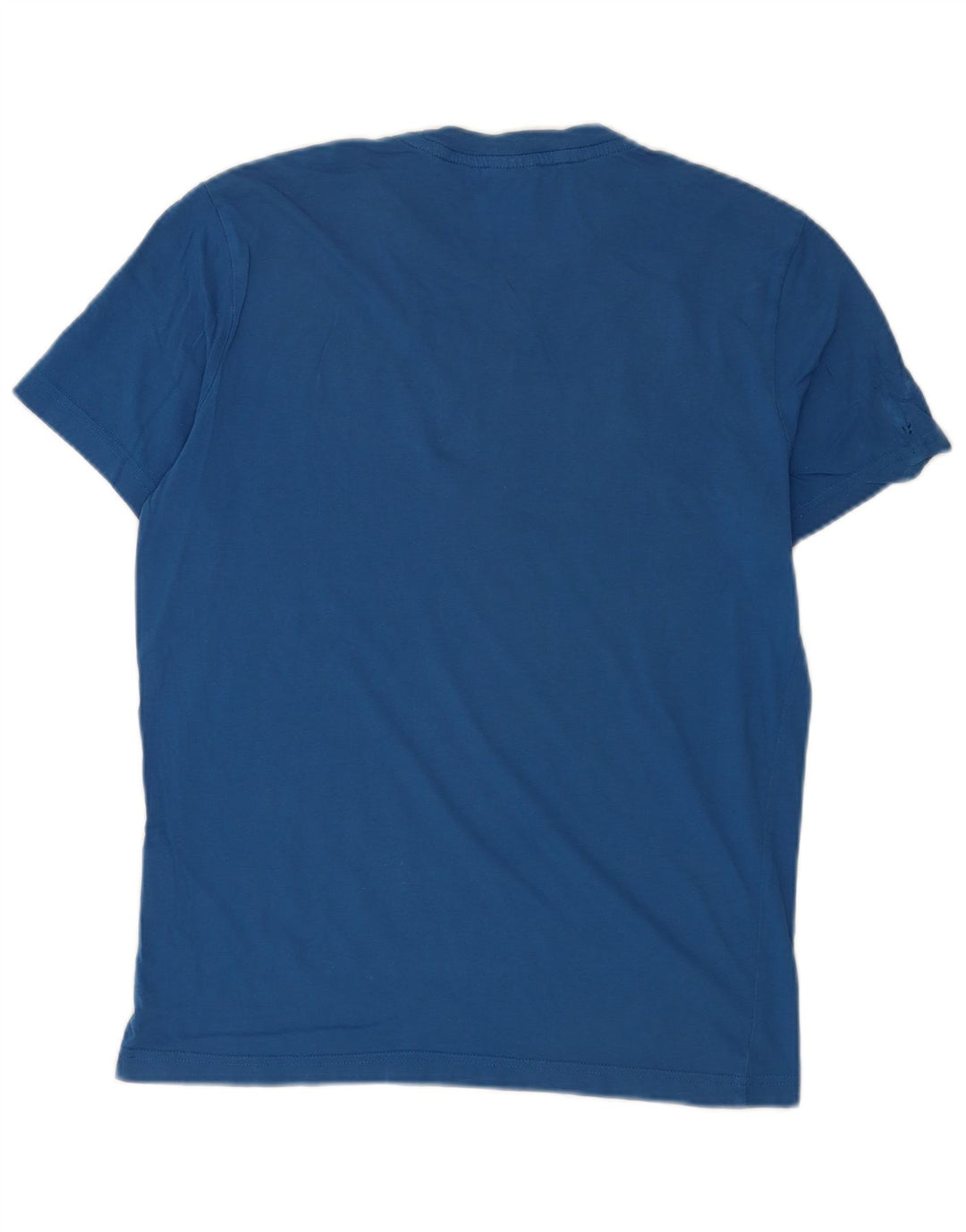 Champion Mens Graphic T-Shirt Top Small Blue Cotton