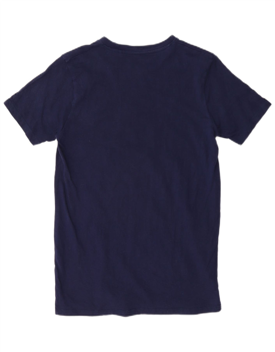 Champion Mens Graphic T-Shirt Top Small Navy Blue Cotton