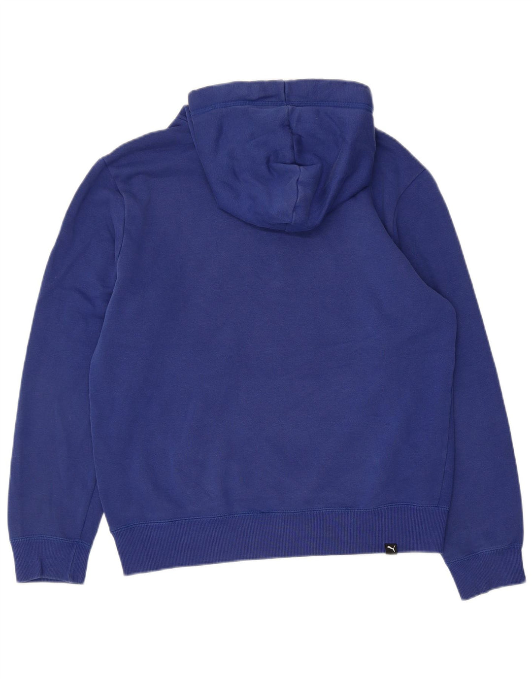 Puma Mens Graphic Hoodie Jumper Small Blue Cotton