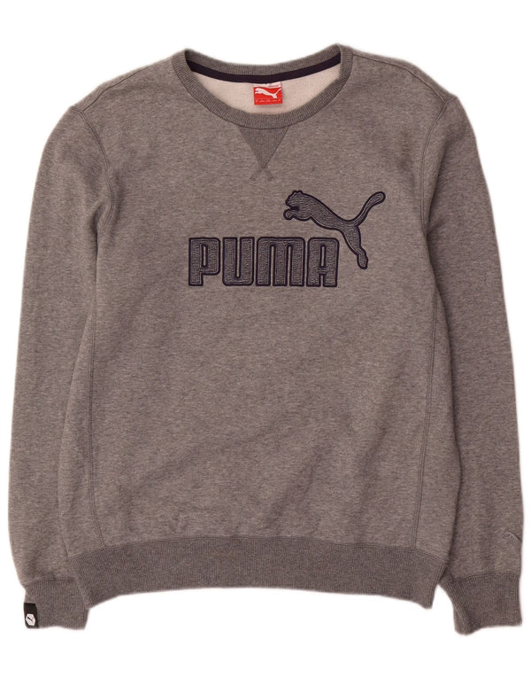 Puma Mens Graphic Regular Fit Sweatshirt Jumper Medium Grey Cotton
