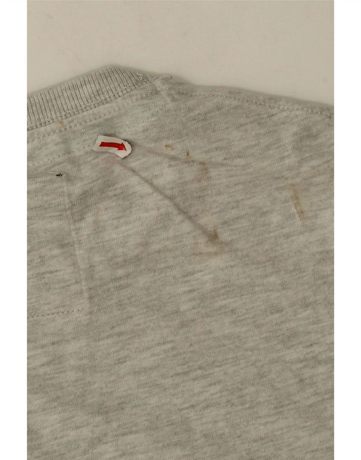 Superdry Mens Graphic T-Shirt Top Medium Grey Cotton