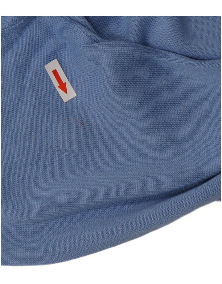 TOMMY HILFIGER Mens Crew Neck Jumper Sweater Medium Blue