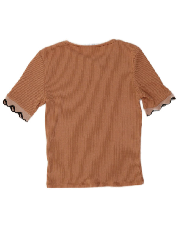 Zara Womens Crop T-Shirt Top UK 10 Small Brown Polyester