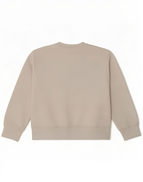 Zara Womens Crop Sweatshirt Jumper UK 10 Small White Cotton