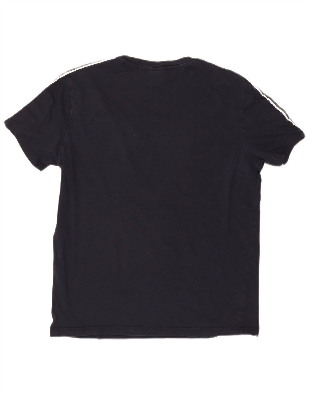 Champion Mens Graphic T-Shirt Top Medium Navy Blue Cotton