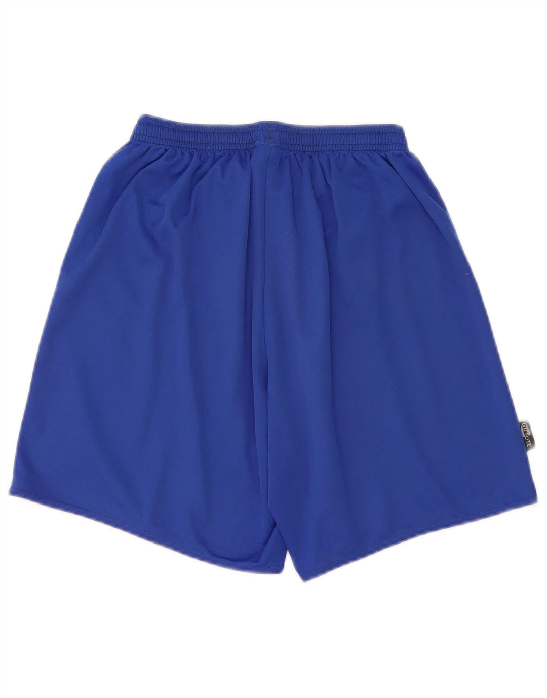 Adidas Mens Climalite Sport Shorts Medium  Blue Striped Polyester