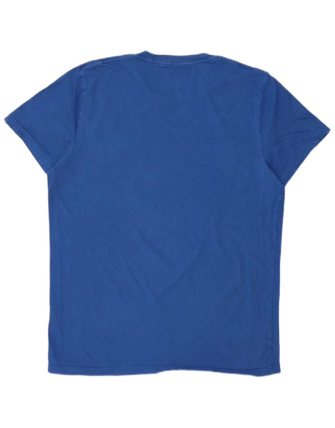 HOLLISTER Mens T-Shirt Top Medium Blue Cotton