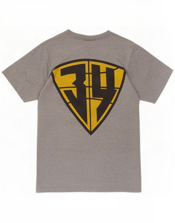 Reebok Mens Graphic T-Shirt Top Small Grey