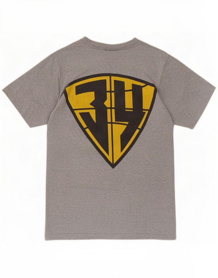Reebok Mens Graphic T-Shirt Top Small Grey