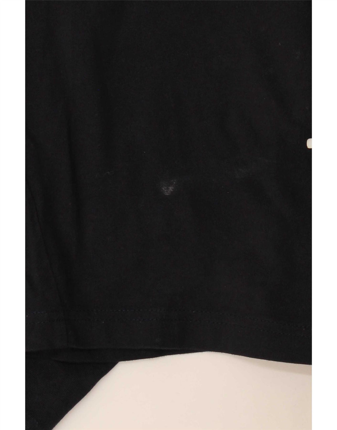 Champion Mens Graphic Sport Shorts Large  Navy Blue