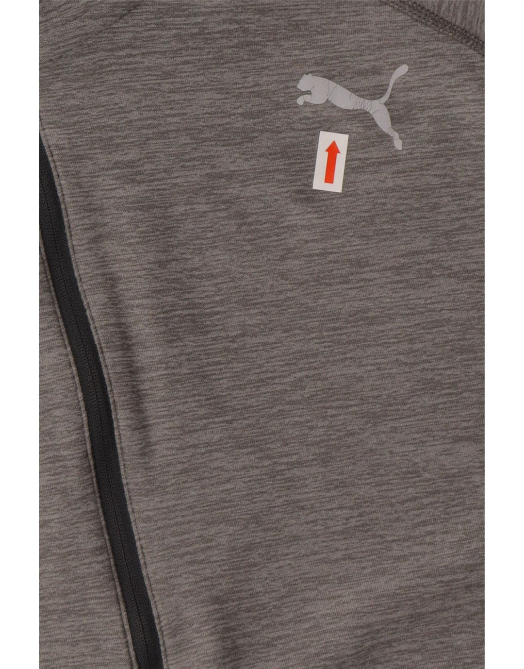 PUMA Mens Hooded Pullover Tracksuit Top Large Grey Vintage Puma and Second-Hand Puma from Messina Hembry 