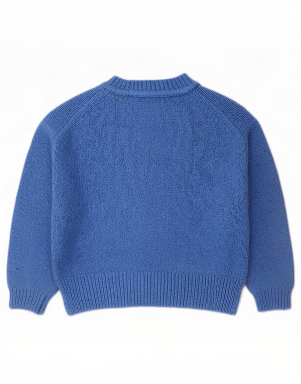 Zara Womens Crop Crew Neck Jumper Sweater UK 14 Medium Blue Acrylic