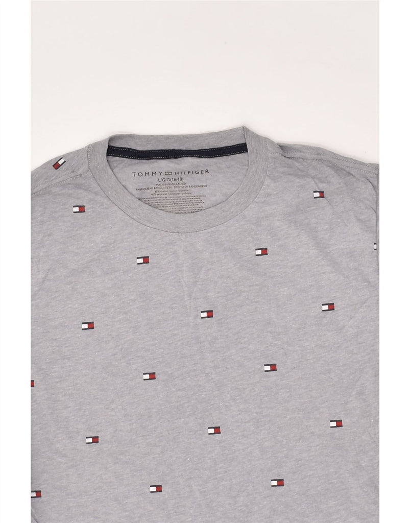 TOMMY HILFIGER Boys Graphic T-Shirt Top 15-16 Years Grey Cotton | Vintage Tommy Hilfiger | Thrift | Second-Hand Tommy Hilfiger | Used Clothing | Messina Hembry 