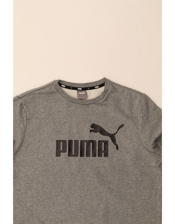 PUMA Mens Graphic Sweatshirt Jumper Large Grey Cotton Vintage Puma and Second-Hand Puma from Messina Hembry 