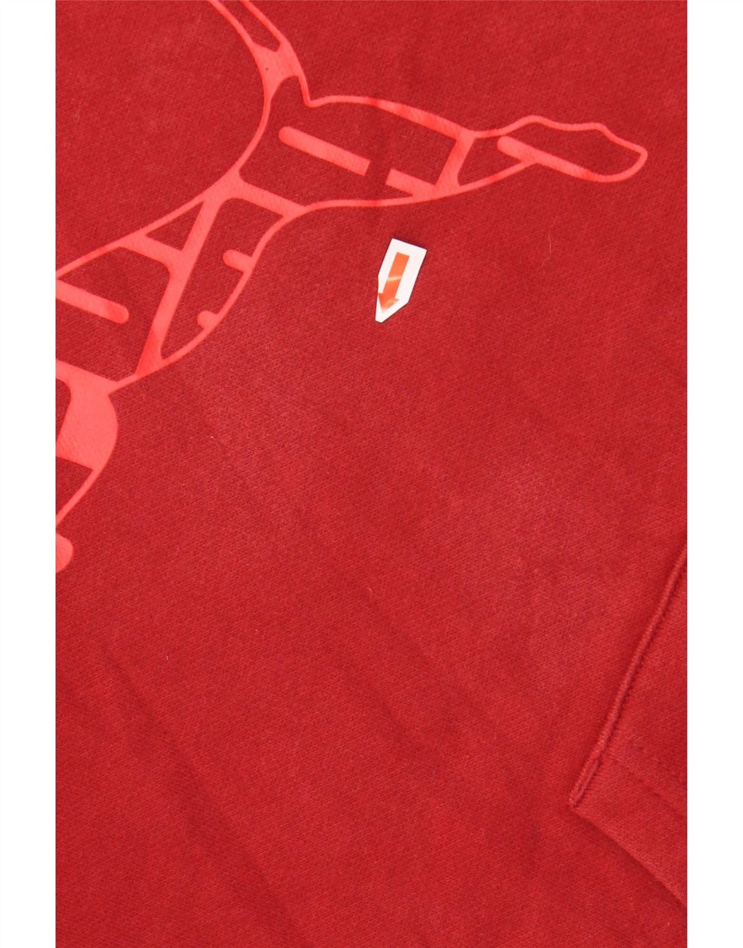 PUMA Boys Graphic Hoodie Jumper 9-10 Years Red Cotton