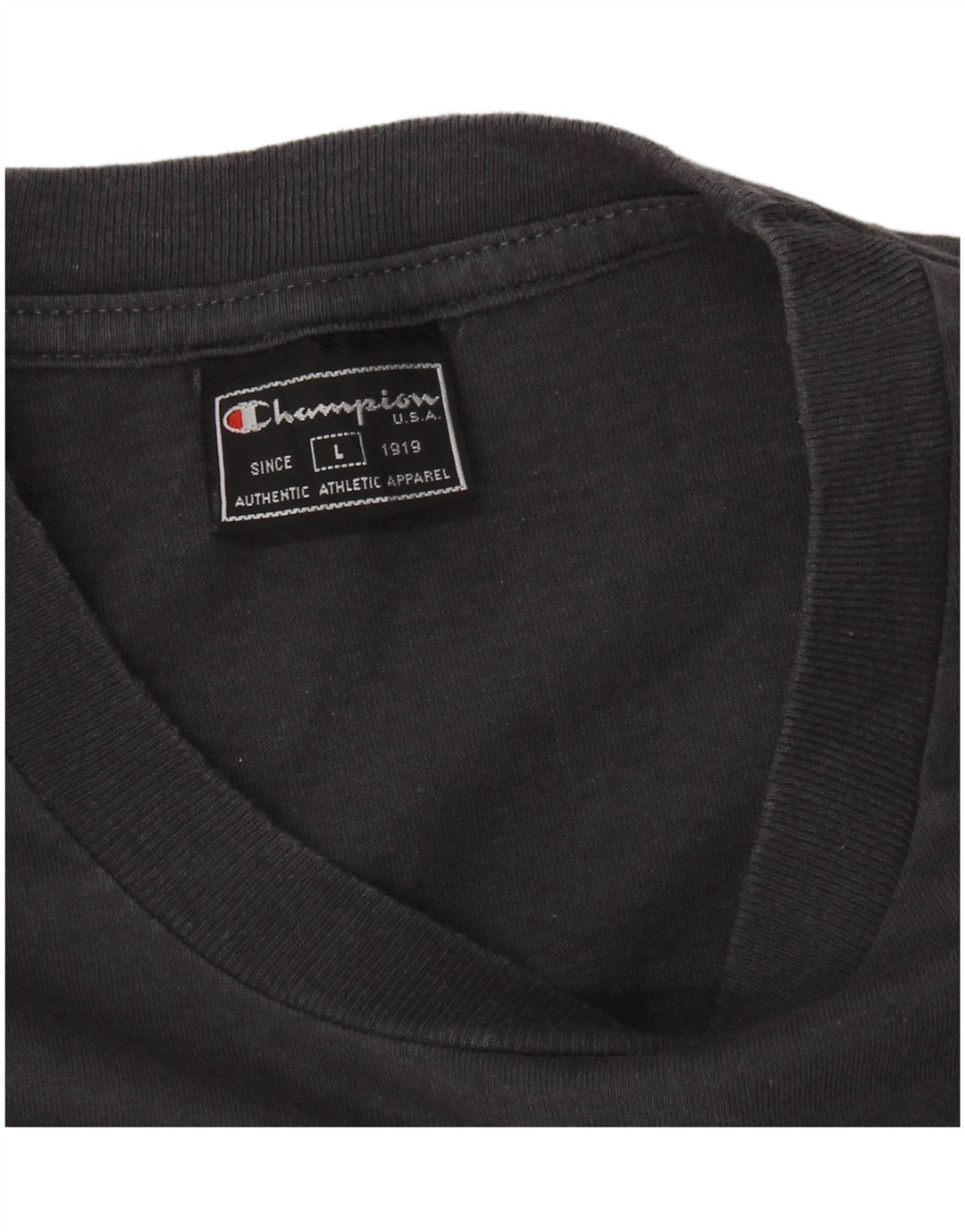 CHAMPION Mens T-Shirt Top Large Grey