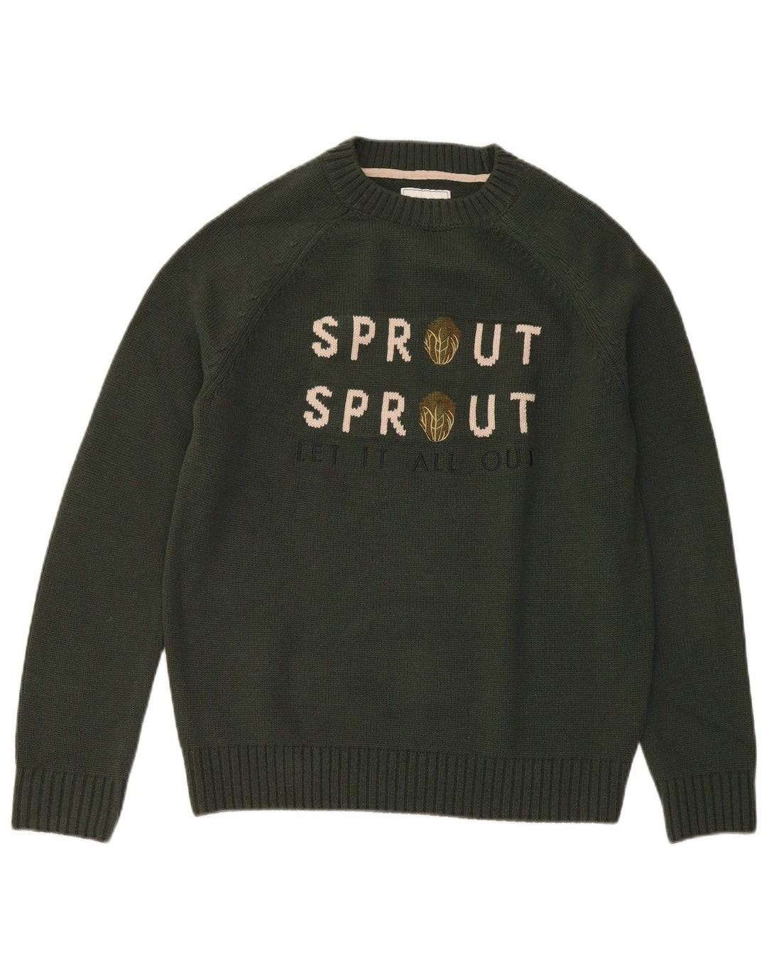 Joules Mens Graphic Crew Neck Jumper Sweater Medium Green Acrylic