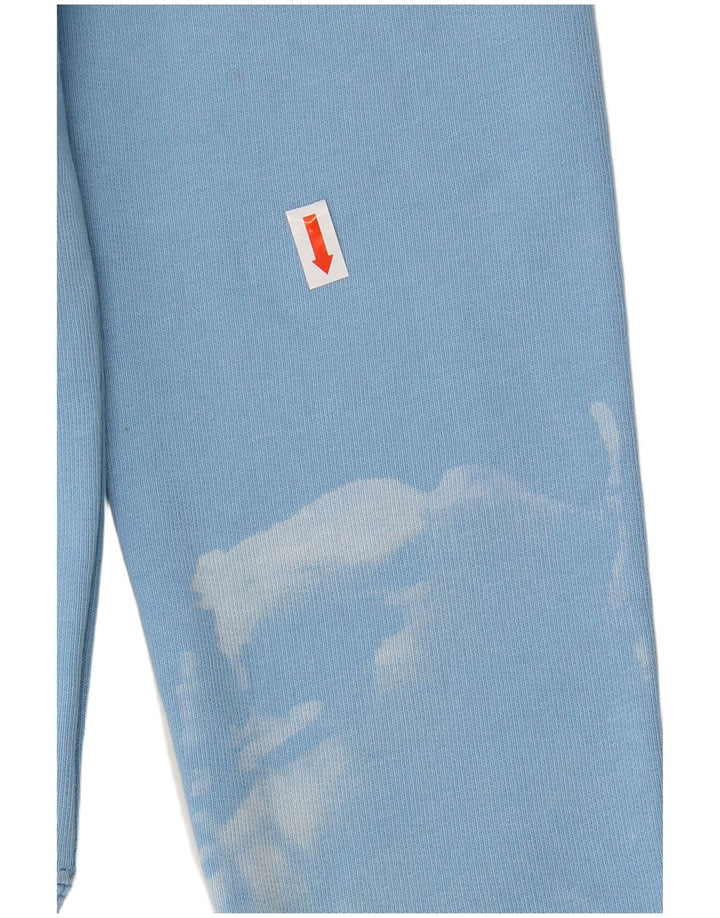 CALVIN KLEIN JEANS Boys Hoodie Jumper 15-16 Years Blue Cotton