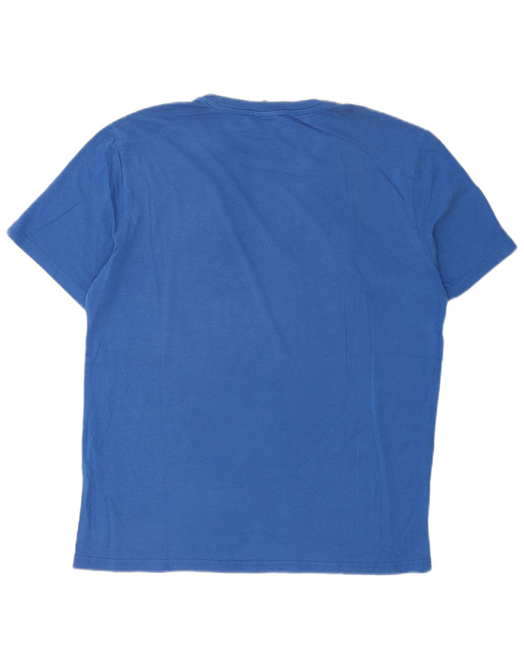Champion Mens Graphic T-Shirt Top Large Blue