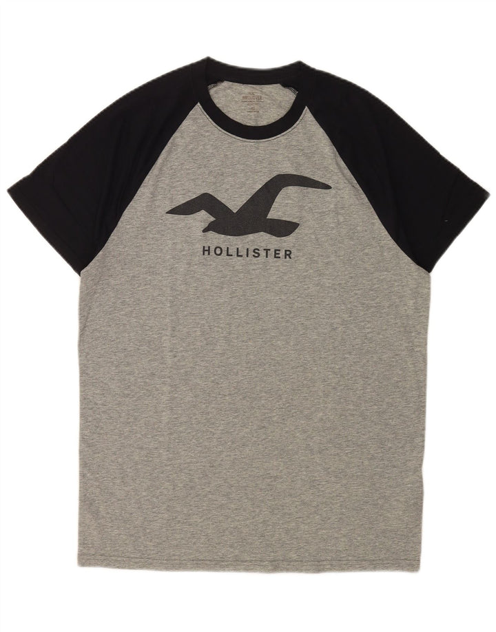 Hollister Mens Graphic T-Shirt Top Large Grey Colourblock