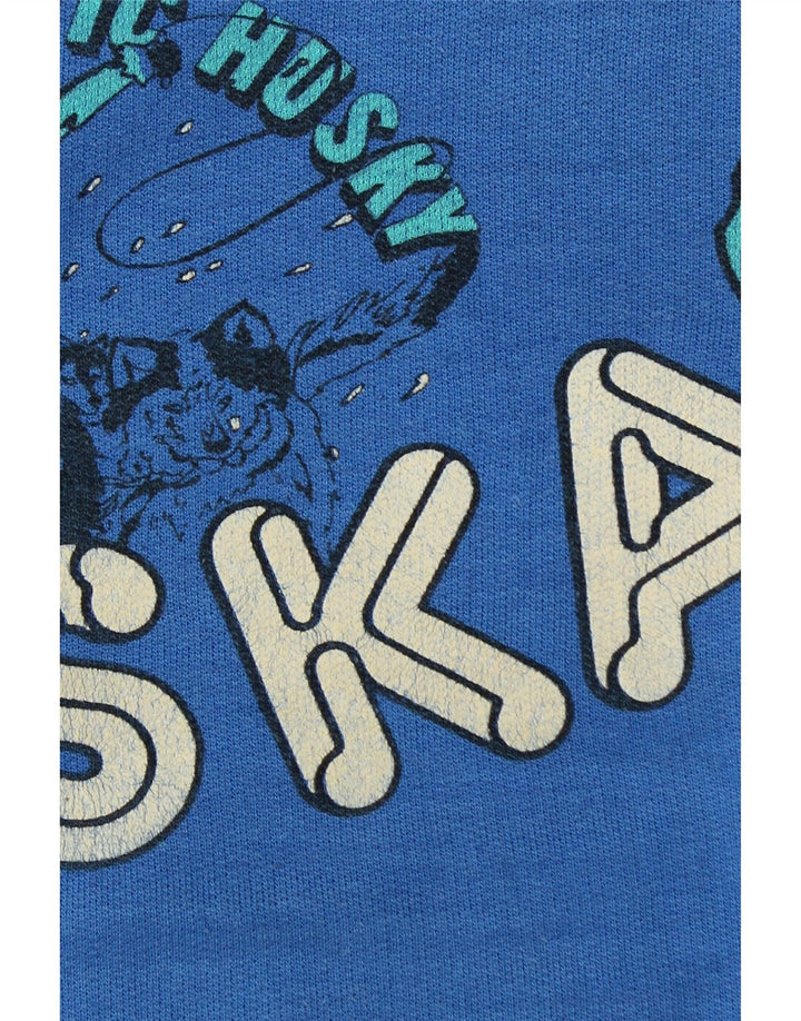 Alaska Mens Graphic Sweatshirt Jumper Large Blue