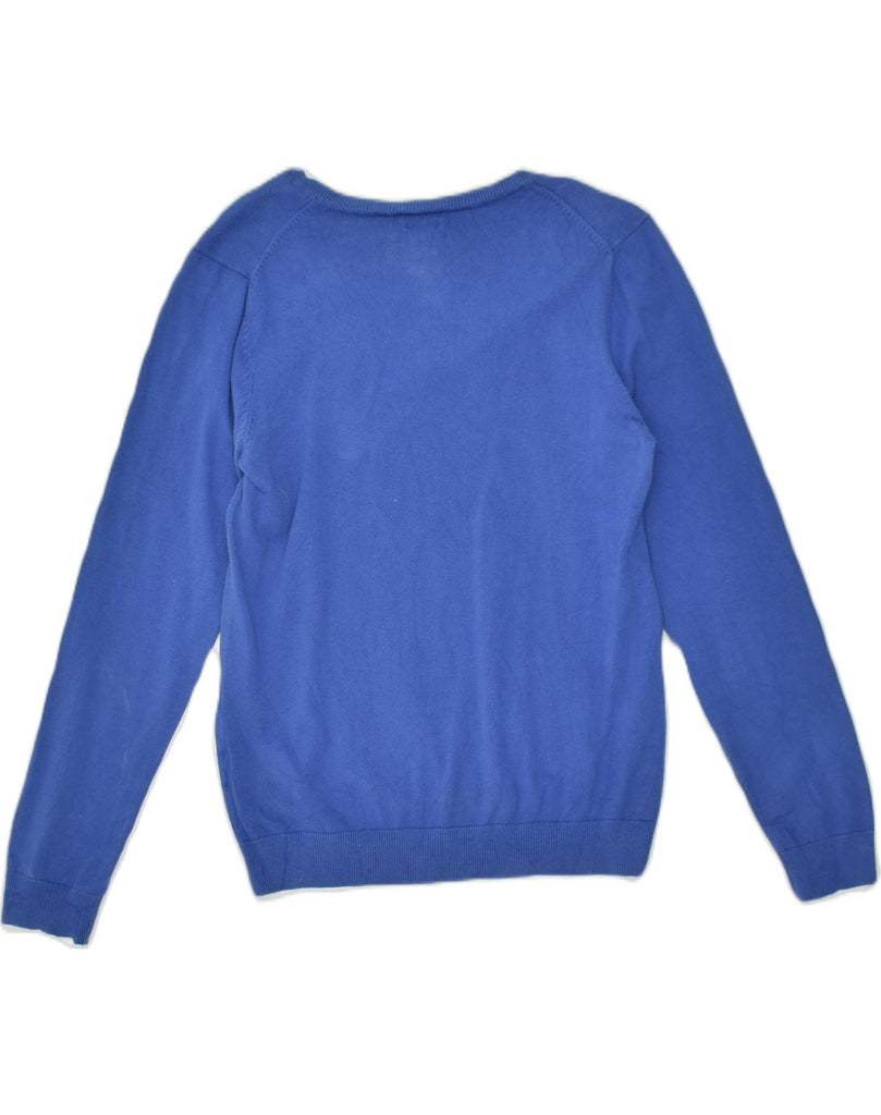 TOMMY HILFIGER Womens V-Neck Jumper Sweater UK 14 Large Blue Cotton | Vintage Tommy Hilfiger | Thrift | Second-Hand Tommy Hilfiger | Used Clothing | Messina Hembry 