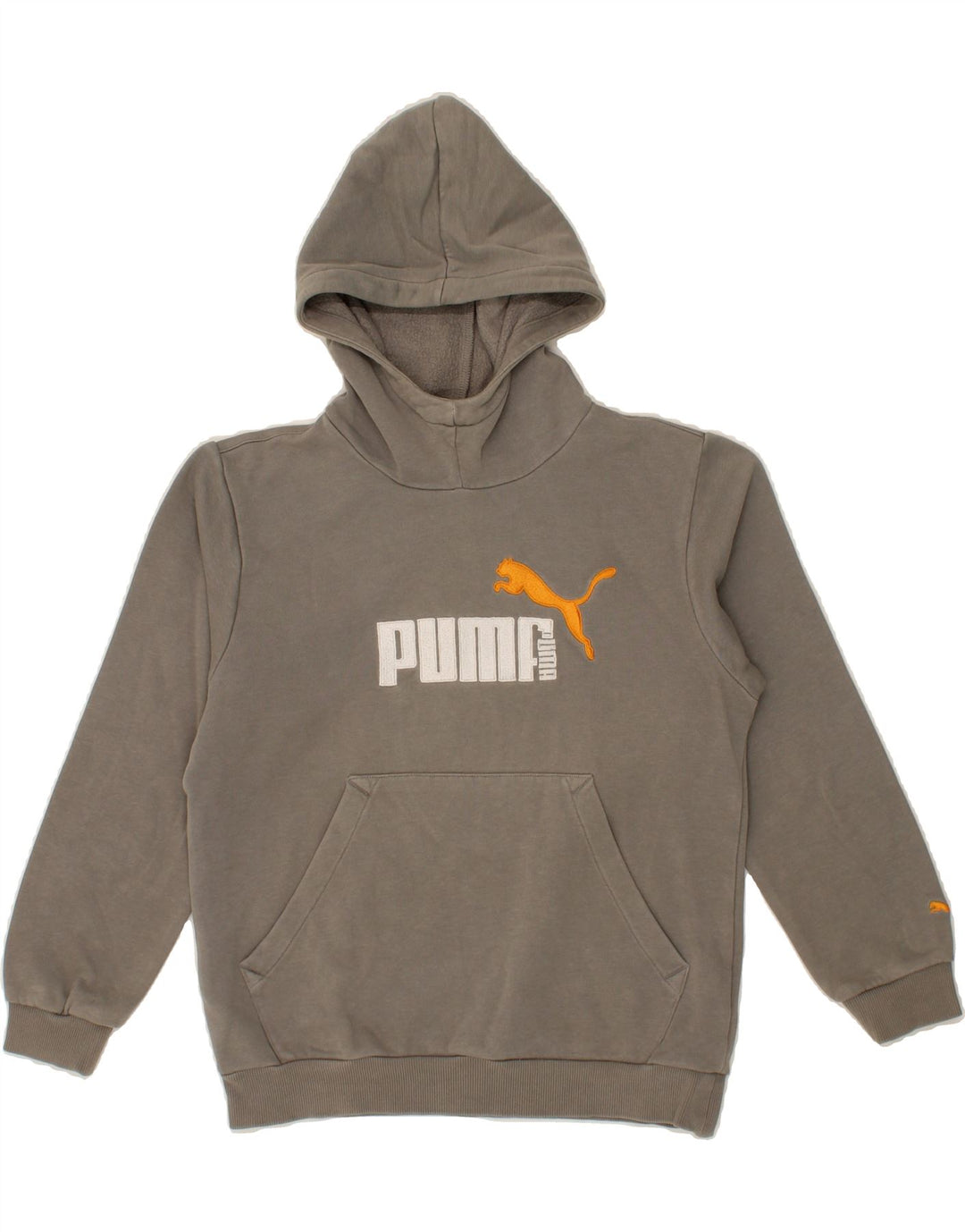 PUMA Boys Graphic Hoodie Jumper 9-10 Years Medium Grey Cotton Vintage Puma and Second-Hand Puma from Messina Hembry 