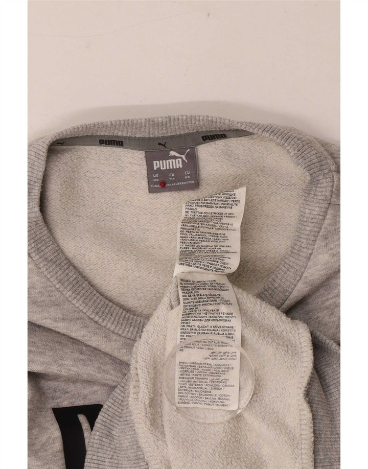 Puma Mens Graphic Sweatshirt Jumper XS Grey Flecked Cotton