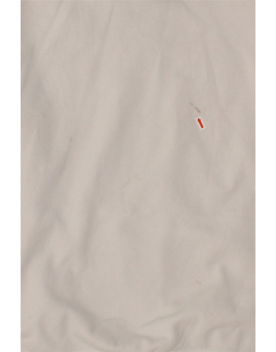 CHAMPION Mens Graphic Hoodie Jumper Large White Cotton Vintage Champion and Second-Hand Champion from Messina Hembry 
