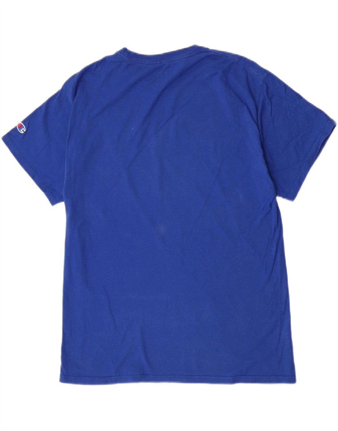 Champion Mens Graphic T-Shirt Top Medium Blue