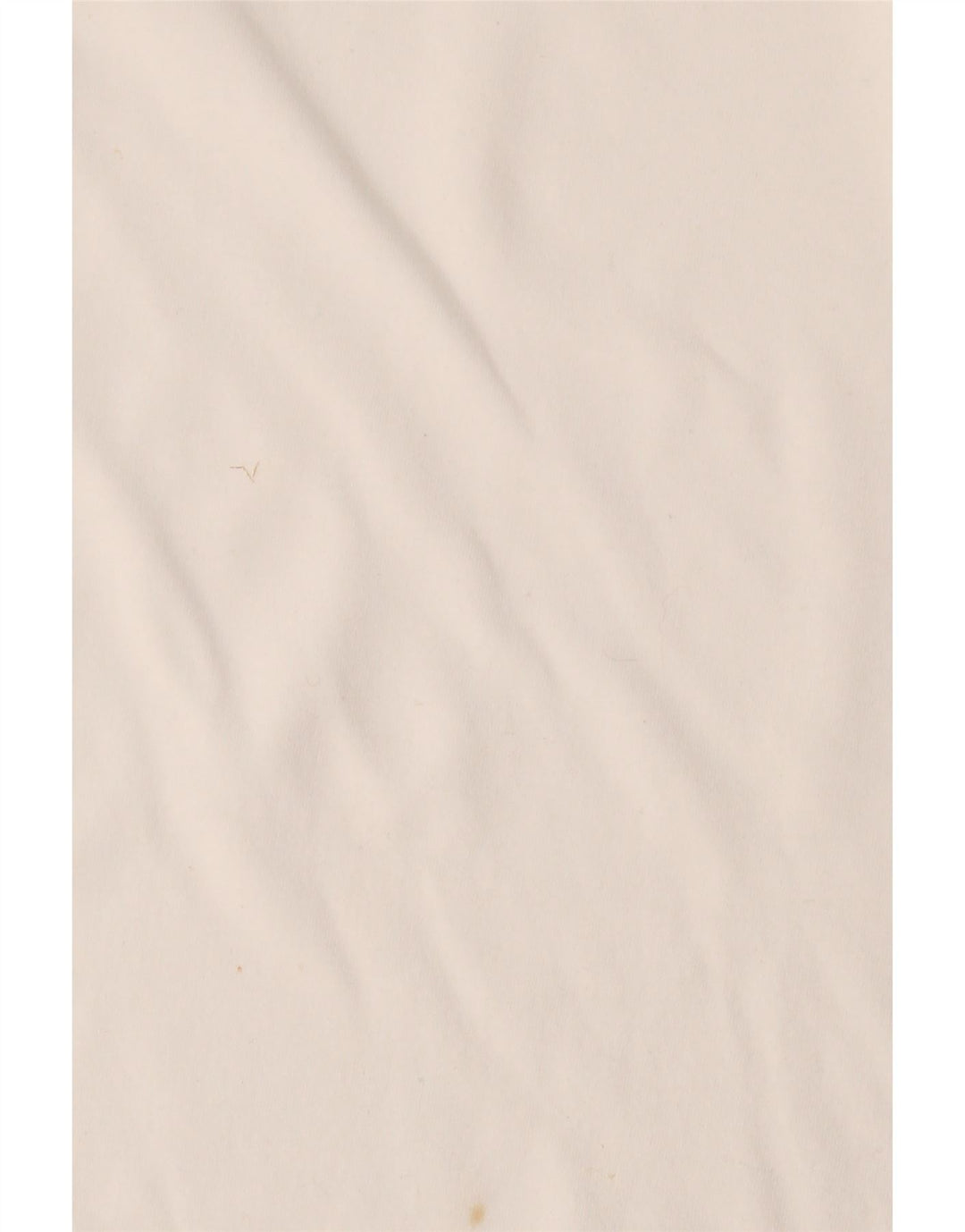 Champion Mens Graphic T-Shirt Top Large White Cotton