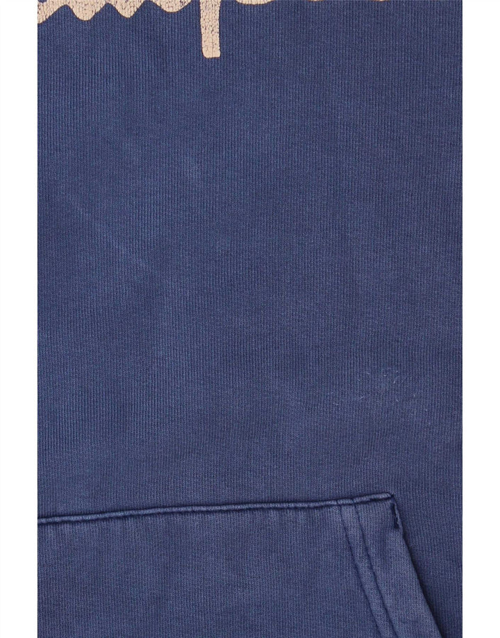 Champion Mens Graphic Hoodie Jumper Large Blue