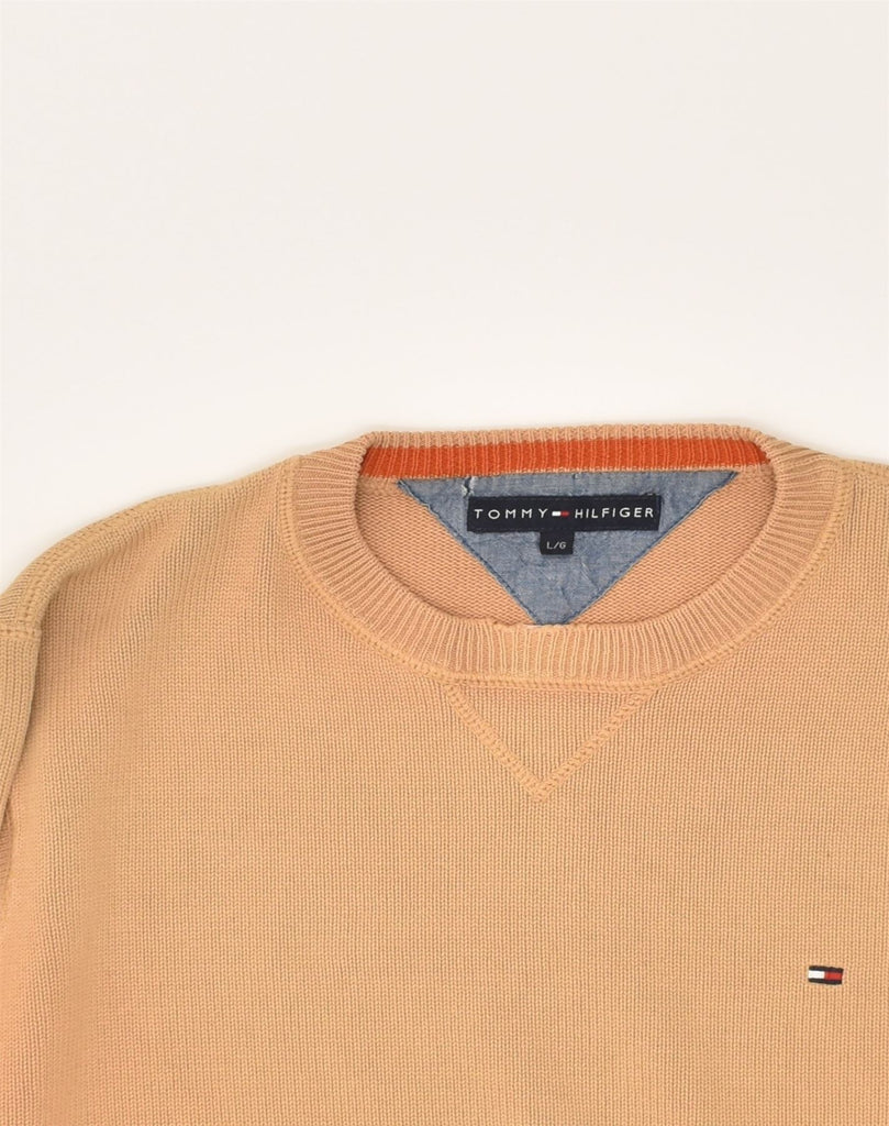 TOMMY HILFIGER Mens Crew Neck Jumper Sweater Large Orange Cotton | Vintage Tommy Hilfiger | Thrift | Second-Hand Tommy Hilfiger | Used Clothing | Messina Hembry 