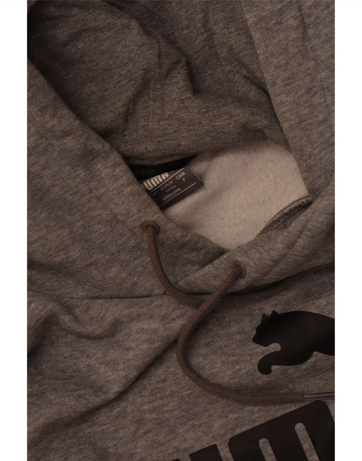 Puma Mens Graphic Hoodie Jumper Small Grey