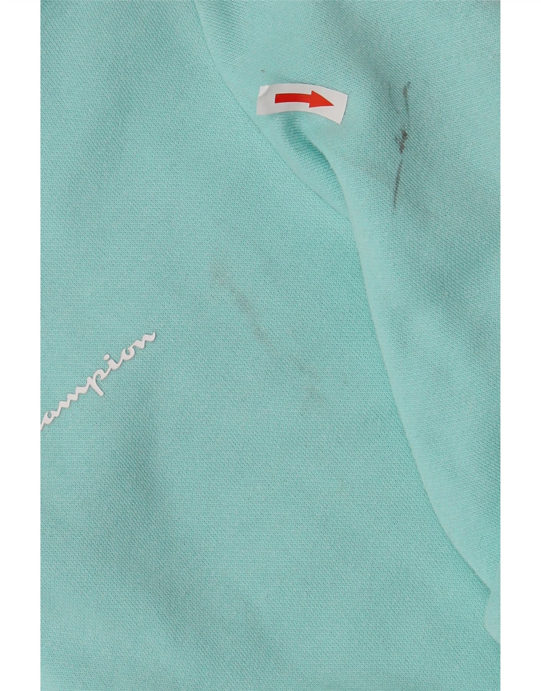 CHAMPION Girls Hoodie Jumper 13-14 Years XL Turquoise Cotton