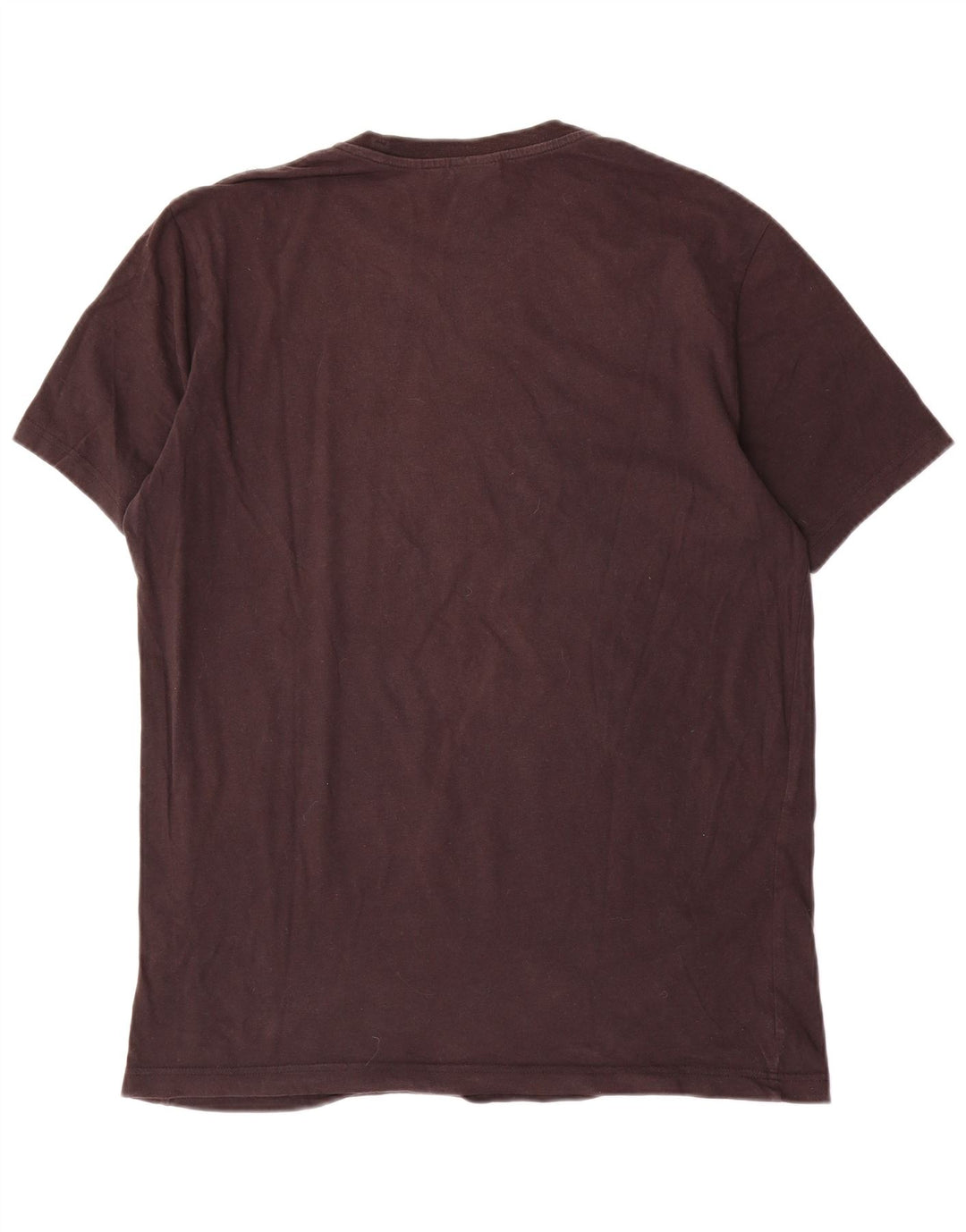 Champion Mens Graphic T-Shirt Top Large Brown