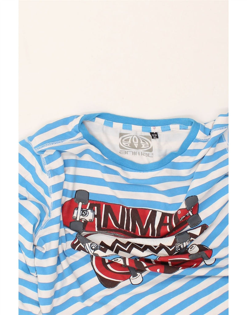 ANIMAL Boys Graphic Top Long Sleeve 13-14 Years Blue Striped Cotton | Vintage Animal | Thrift | Second-Hand Animal | Used Clothing | Messina Hembry 