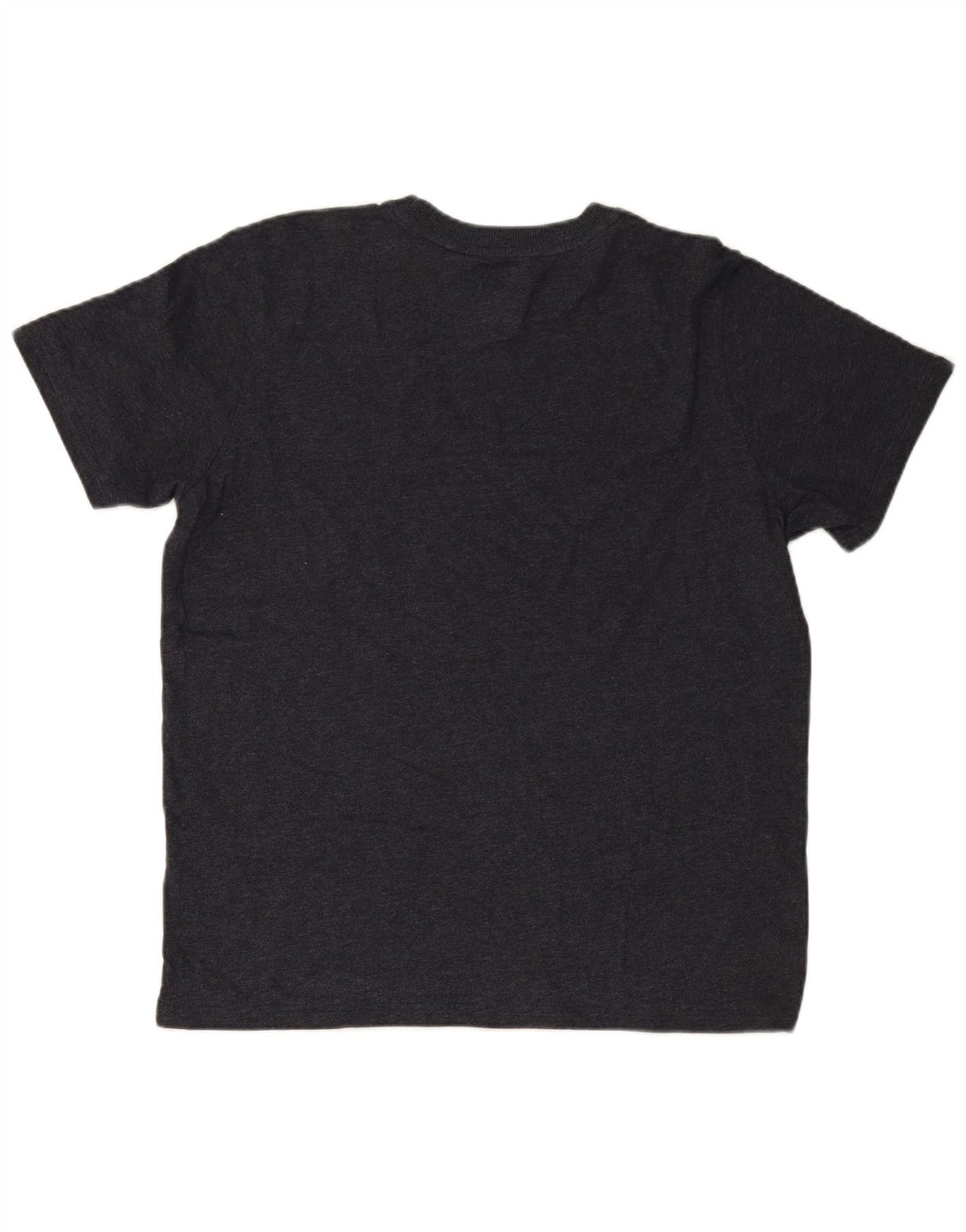 SUPERDRY Mens Graphic T-Shirt Top XL Grey