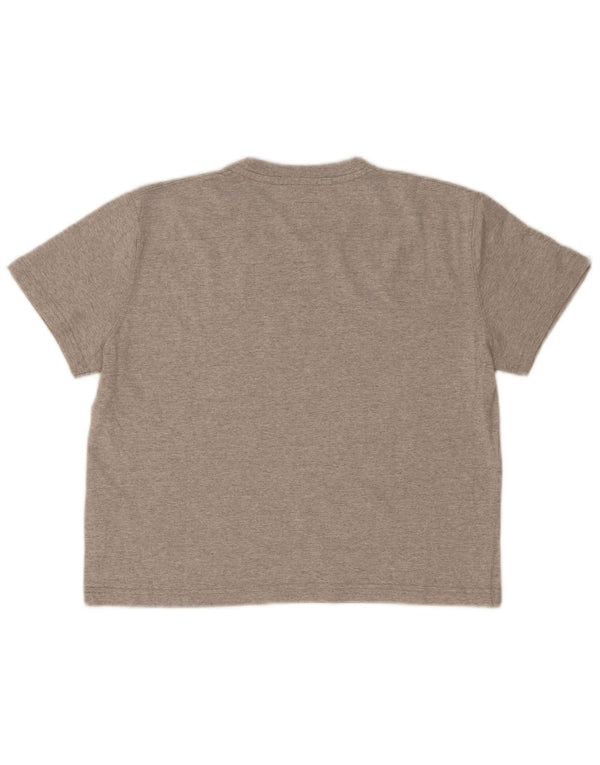 Calvin Klein Jeans Womens Crop Graphic T-Shirt Top UK 14 Large Grey Flecked